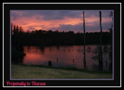 Sunset over the pond. A Southern Staple. A Propensity to Discuss post.